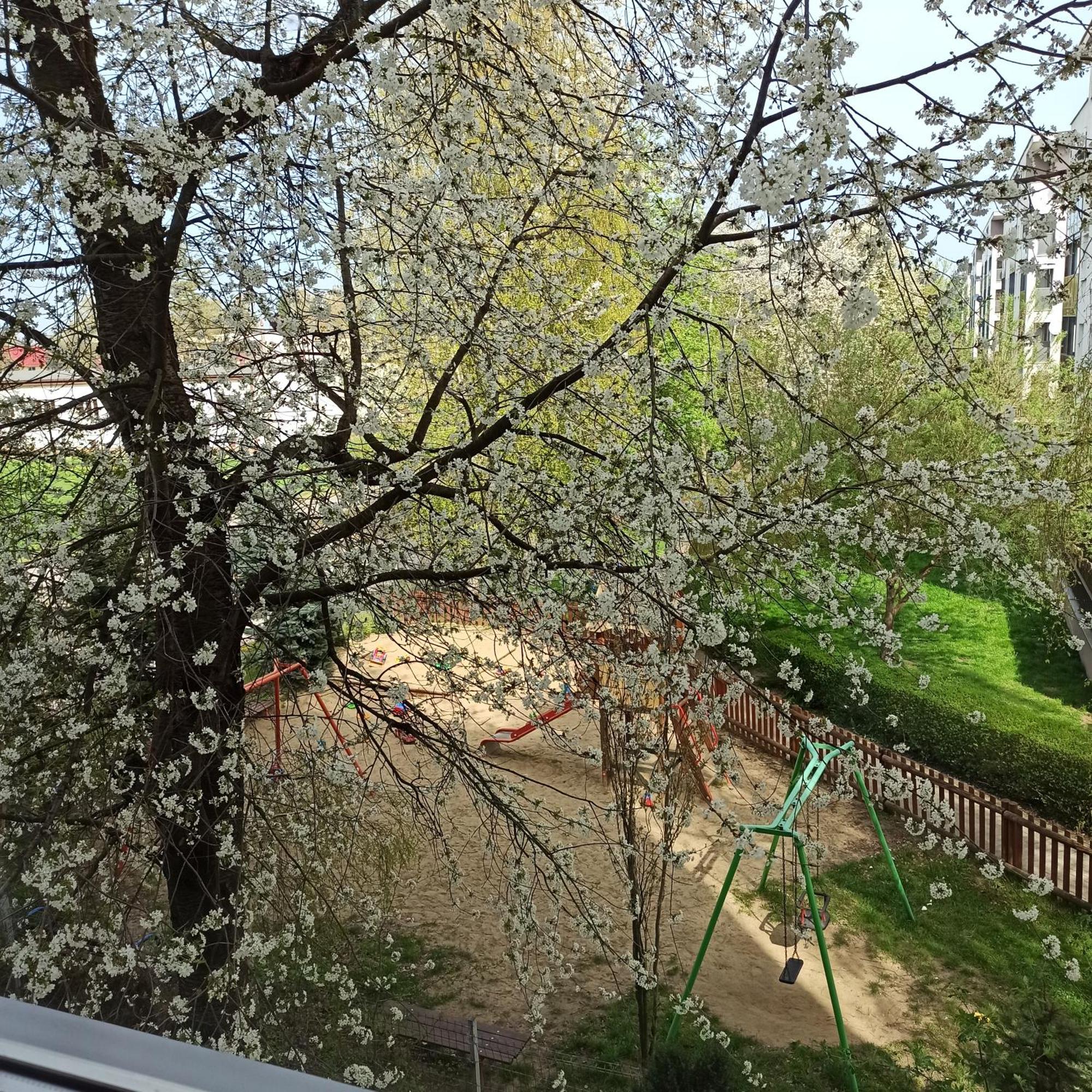 Apartament Dunikowskiego 57M2 Lublin Exterior foto